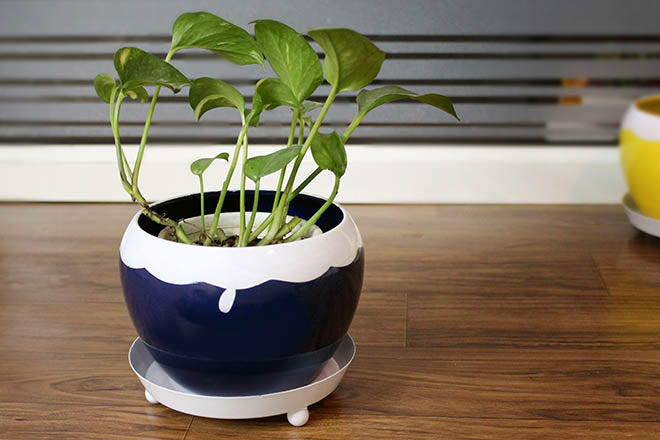 metal planter saucer Elegant Metal Planter with a Saucer (without Plant) – Truly Earthy