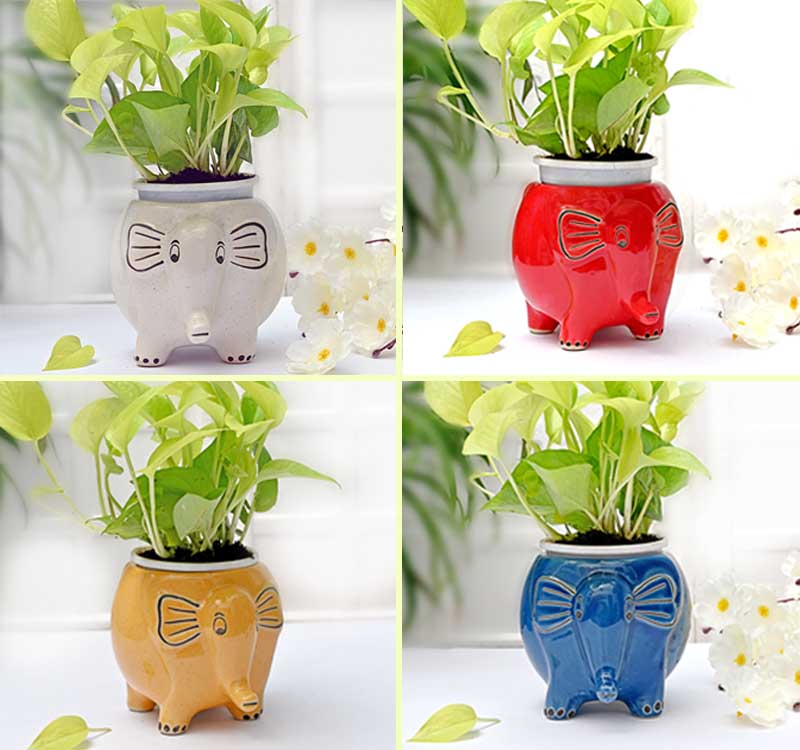 appa plant pot Appu The Elephant Ceramic Planter (Without Plant) – Truly Earthy
