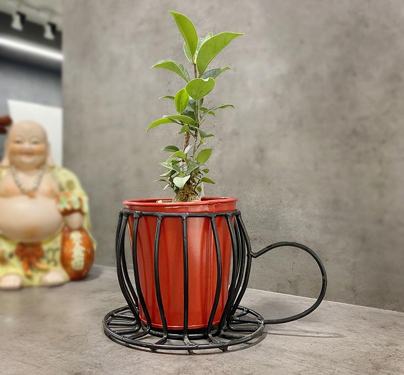 classy plant pots Metal Classy Cup Planter (without Plant) – Truly Earthy