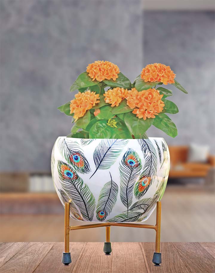 feather plant pots Peacock Feather Metal Planter (without Plant) – Truly Earthy
