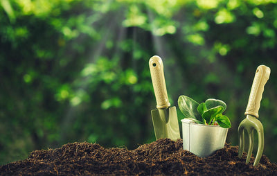 Five Essential Gardening Tools and Accessories You Must Own