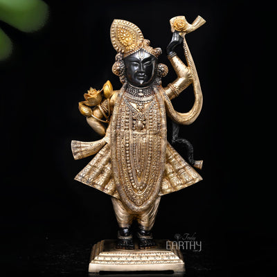 shrinathji statue