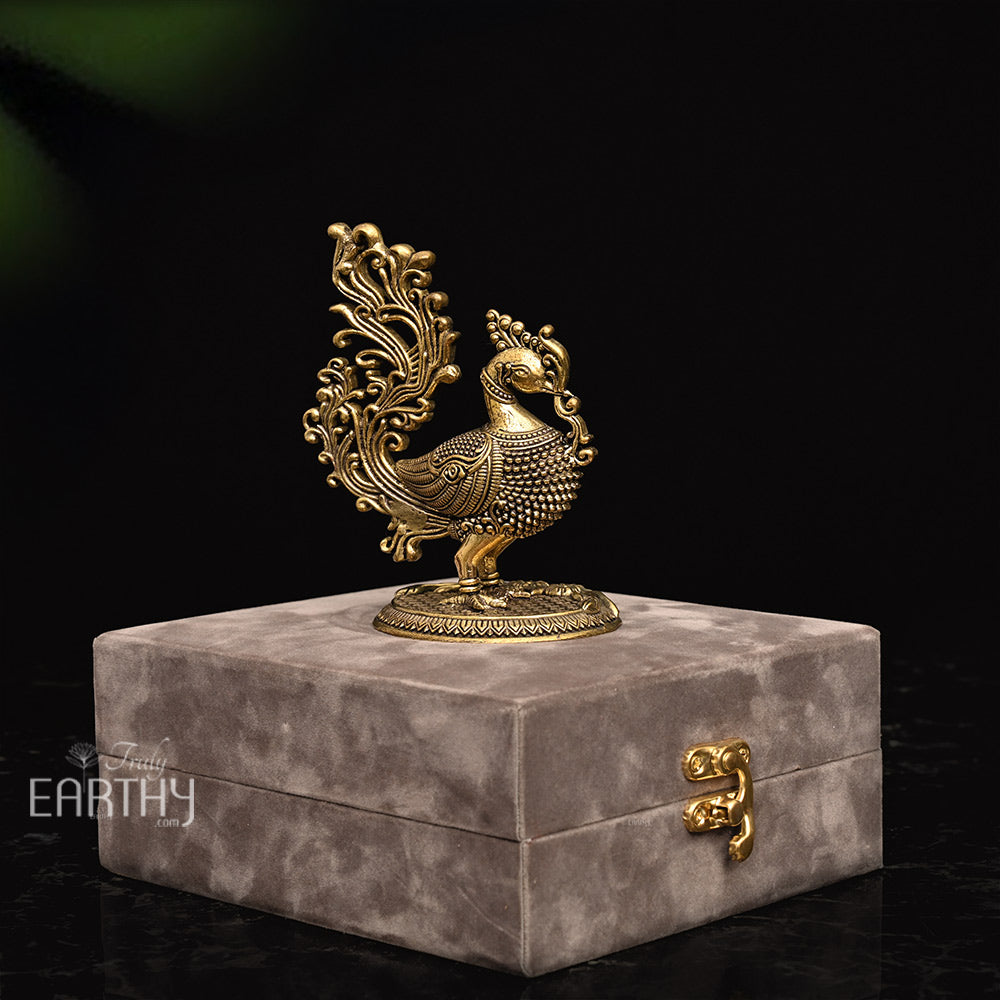 peacock for gifting