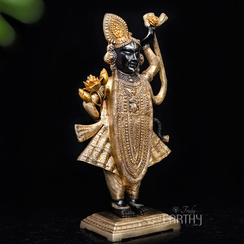 shrinathji statue, angel 2