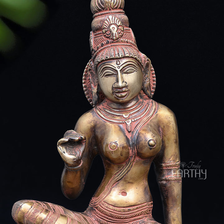 parvati statue, closeup