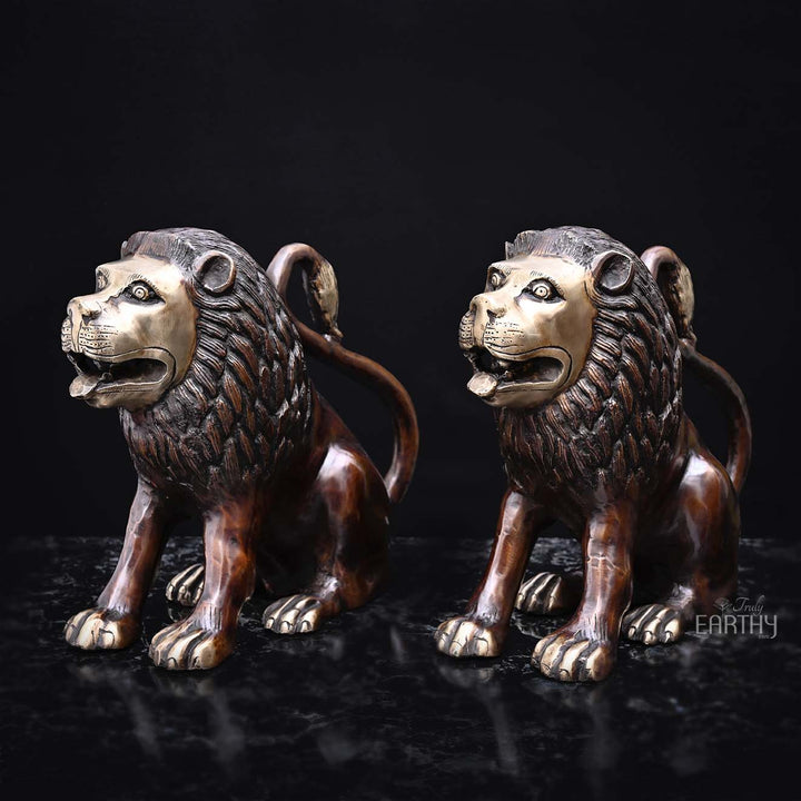 Pair of Lion - Brass