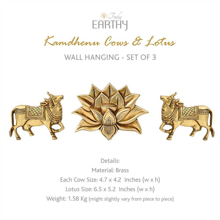Kamdhenu Cows &amp; Lotus - Set of 3 (Brass Wall Hanging)