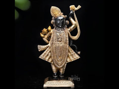 SHRINATHJI STATUE