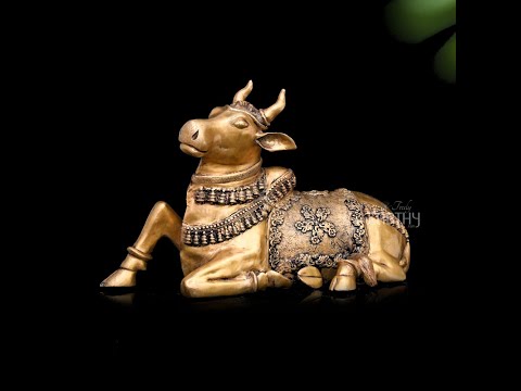 Large Brass Sitting Nandi - 34 (w) x 21 (h) inches / 28.2 Kg