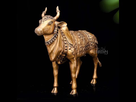 Brass Large Standing Nandi Statue (33.4 Kg / 68.5 Cm)