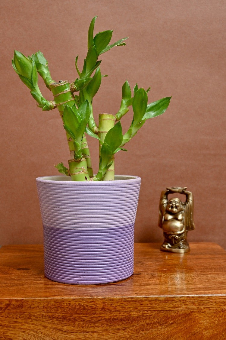 alt="purple indoor ceramic planter"