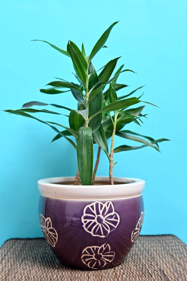 alt="vintage floral ceramic planter"