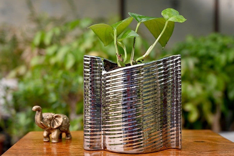 alt="mirror finish indoor planter"