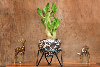 Leopard Metal Planter (without Plant).