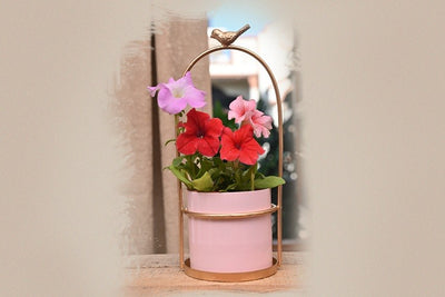 Wild Bird Metal Planter with Stand (without Plant).