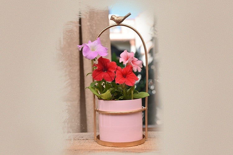 Wild Bird Metal Planter with Stand (without Plant).