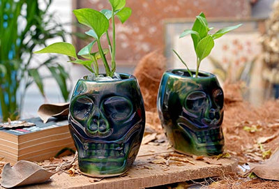 alt="Human Skull Planter Pot"