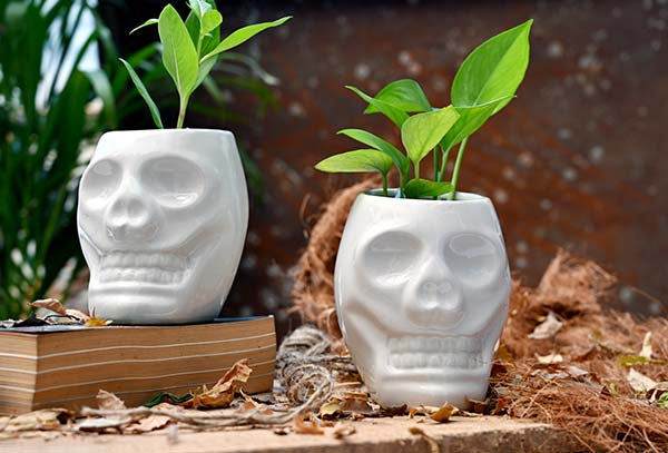 Exclusive Ceramic Human Skull Planter Pot - Set of 2 (Without Plant).
