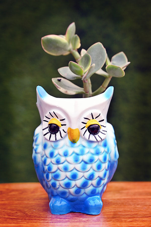Lonely Owl Resin Pot (without Plant).
