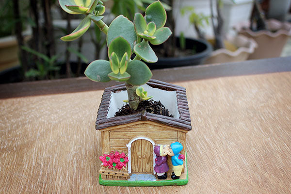 Cute House Resin Pot (without Plant).