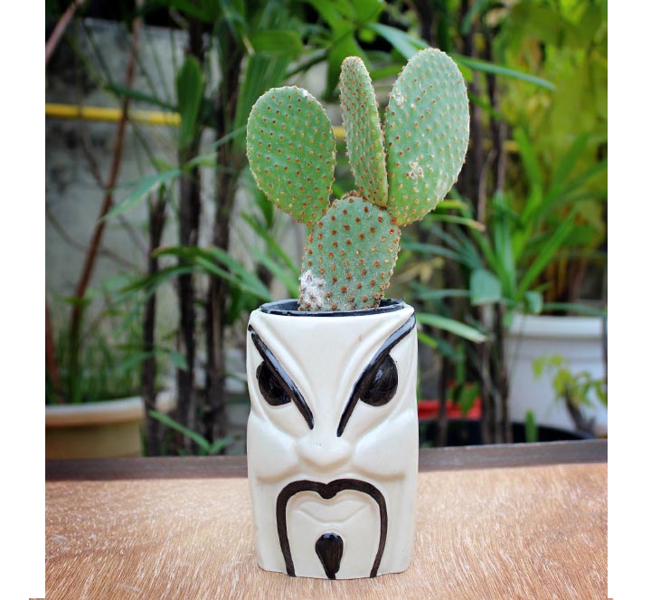 Angry Men Ceramic Planter – Set of 2 (without Plant) – Truly Earthy
