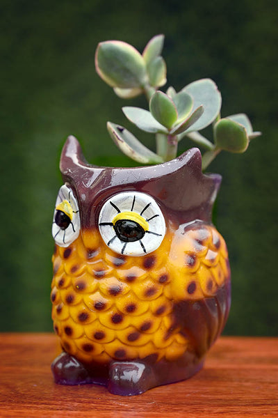 Lonely Owl Resin Pot (without Plant).