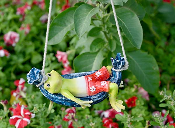 Frog Chilling on Swing