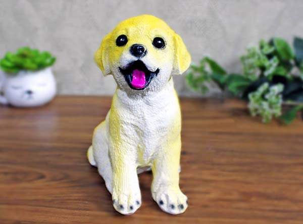 Cute Dog Posing