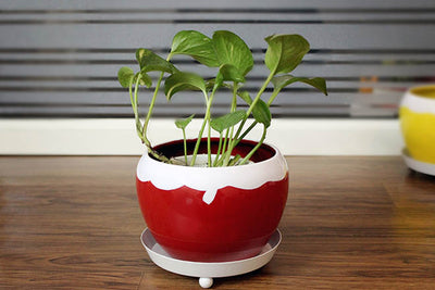 Elegant Metal Planter with a Saucer (without Plant).