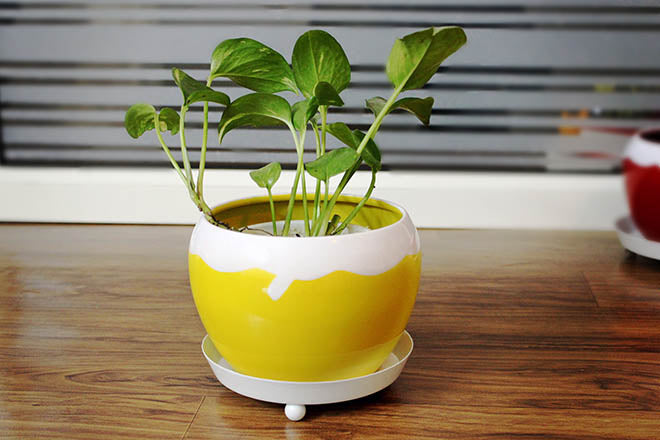 elegant metal planter yellow