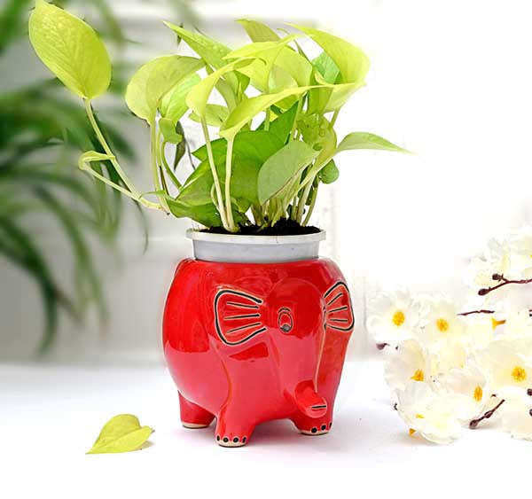 Appu The Elephant Ceramic Planter (Without Plant)