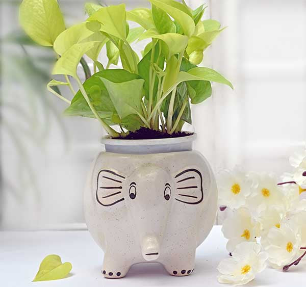 Appu The Elephant Ceramic Planter (Without Plant)