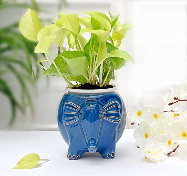 Appu The Elephant Ceramic Planter (Without Plant)