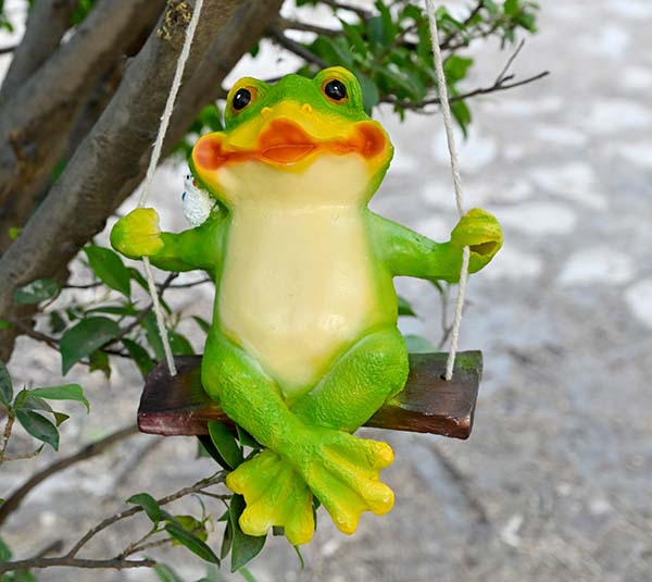 Frog on Swing