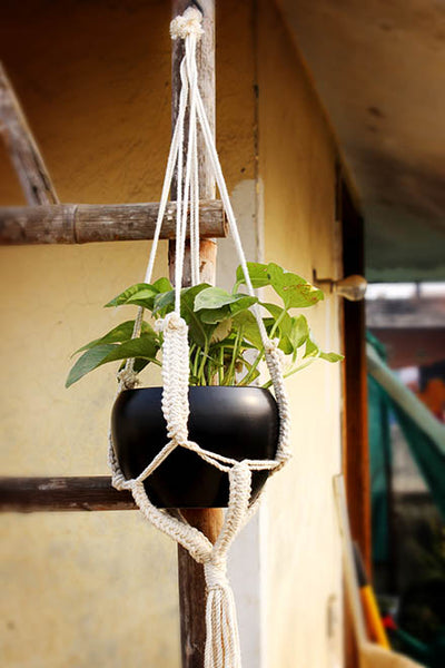 Elaborated Metal Hanging Planter with Designed Jute Rope (without Plant).