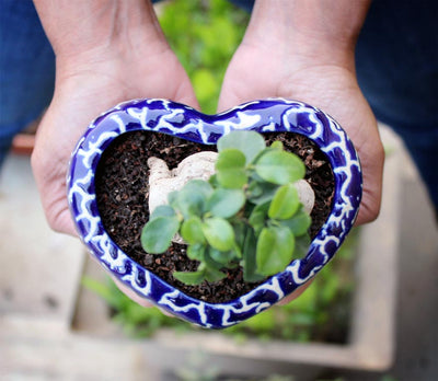 al="heart shaped ceramic planter"