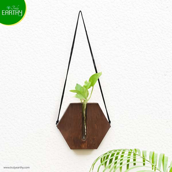 Wooden Hanging Wall Planter (without Plant)