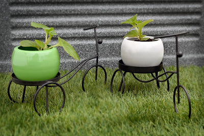 alt="metal tricycle planter"