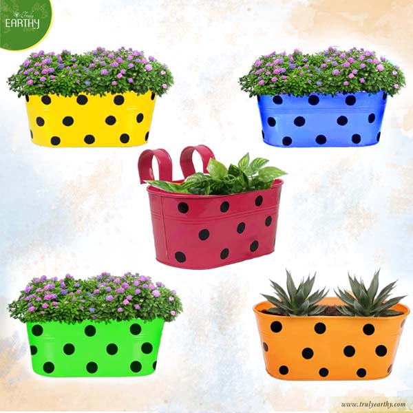 alt="oval polka dots railing planter"