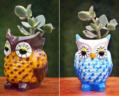 alt="owl pot"
