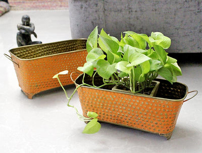 alt="premium oval planter"