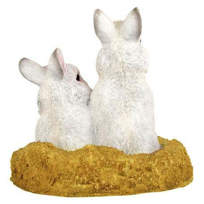 Bunny Rabbit Pair