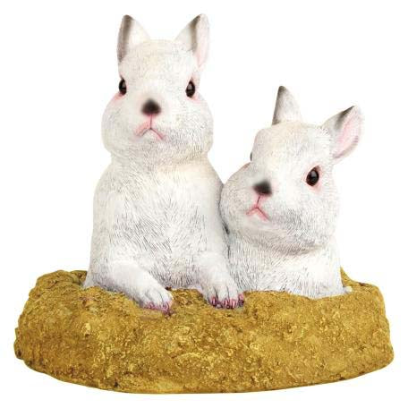 Bunny Rabbit Pair