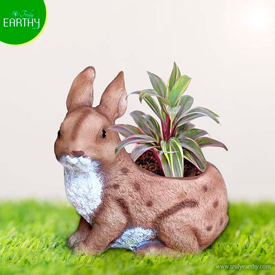 alt="rabbit planter"