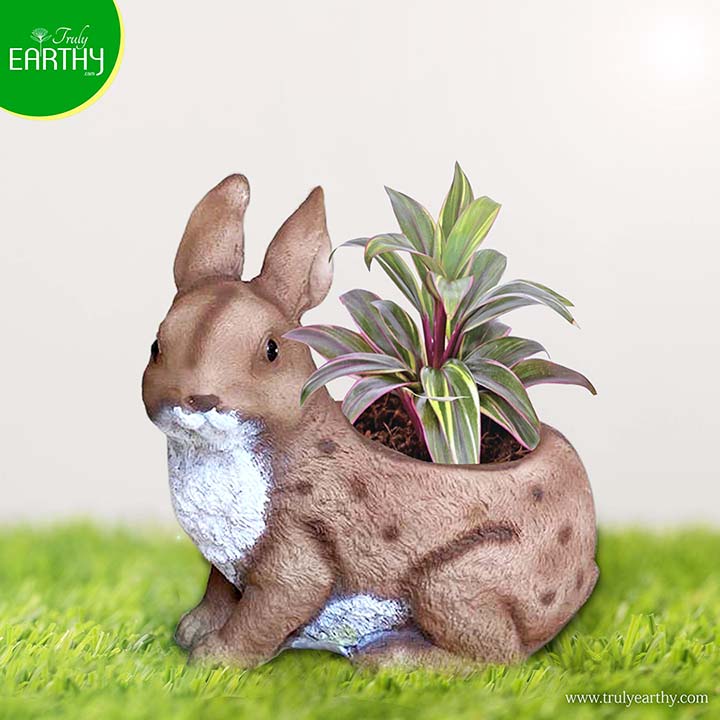 alt="rabbit planter"