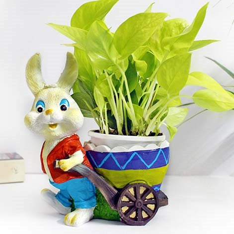 Bunny Rabbit With Cart Planter (Without Plant)