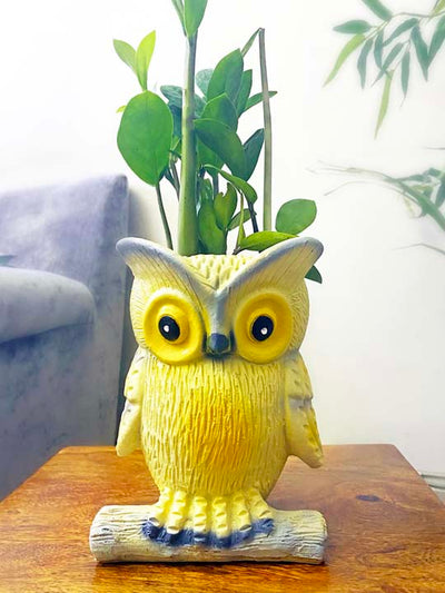 alt="wise owl planter"