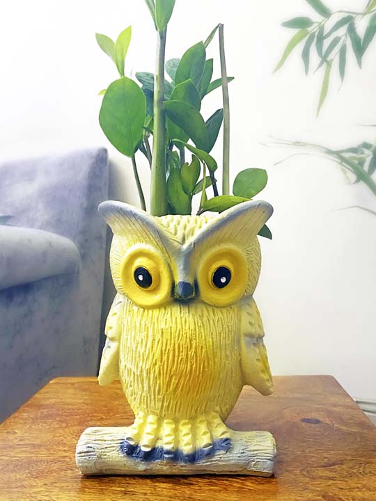 alt="wise owl planter"