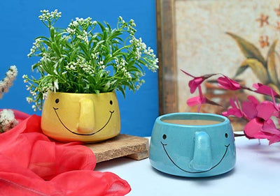 alt="smiley planter pot"
