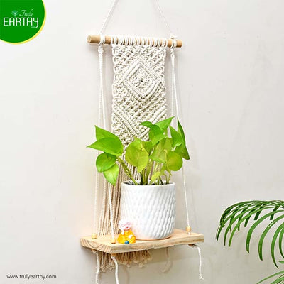 alt="macramé plant hanger"